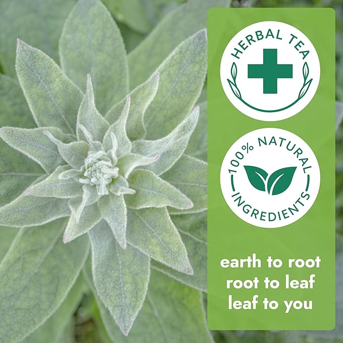 Vital Bloom Mullein Leaf Tea, 120 Tea Bags, 100% Pure Mullein Leaves, support for Lungs Cleanse and Respiratory Support, Bleach Free Tea Bags, Non GMO (Free Tongs Included)