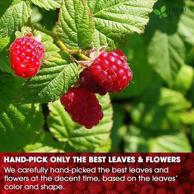 FreshDrinkUS, Premium Raspberry Leaf Tea with Chamomile โ 135 Tea Bags | Naturally Caffeine-Free Herbal Blend | Soothing Floral Flavor | Premium Loose Herbal Tea in Natural Material Tea Bags