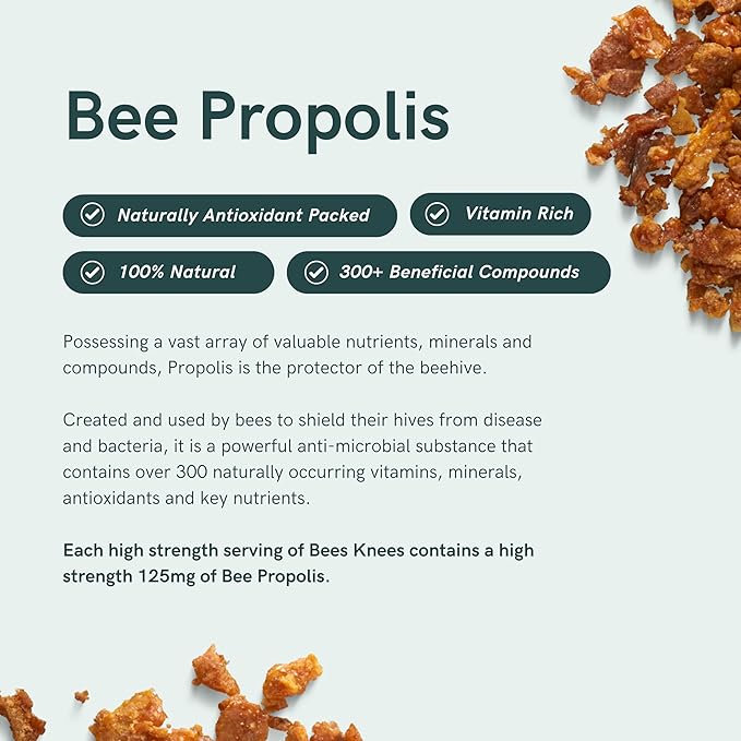 Dr Sosnowski's Bees Knees Bone Health | Ultimate Support for Inflammation Relief, with Collagen, Vitamin C, Turmeric and Bee Propolis | Vegetable Capsules, 60ct