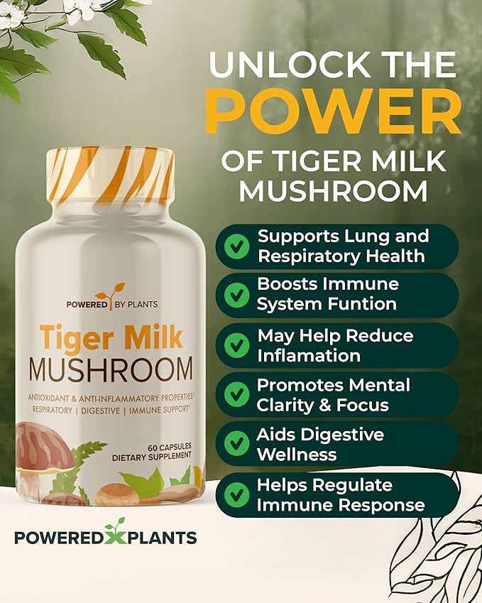 Tiger Milk Mushroom Supplement - 500mg Per Capsule with 50% Beta-Glucan - Supports Respiratory Function, Cognitive Clarity, Digestive Balance & Immune Wellness - 60 Count