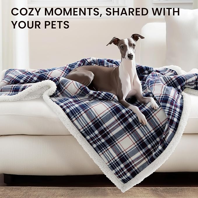 Heated Blanket Electric Throw-50''x60''Ultra Soft Cozy Plaid Flannel Fast Heating Electric Blanket with 10 Heat Levels & 10 Hours Auto Off, ETL Certified, Keep Warm in Couch Bed Office,Tartan