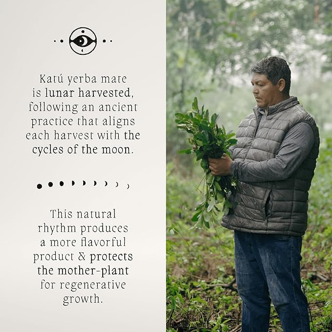 Katú Kojoi Tea Bags - Premium USDA Organic Yerba Mate Tea, Slow Roasted, Unsmoked, Air Dried, Loose-Leaf, Aged, Natural Energy - 15 Count