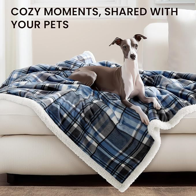 Heated Blanket Electric Throw-50''x60''Ultra Soft Cozy Plaid Flannel Fast Heating Electric Blanket with 10 Heat Levels & 10 Hours Auto Off, ETL Certified, Keep Warm in Couch Bed Office(Blue)