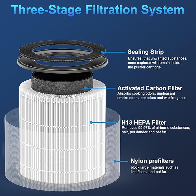 Tailulu D10 Replacement Filte, Air Purifier Filter for Tailulu D10 Air Purifier, 3-in-1 H13 Grade True Replacement Filte, D10 Replacement Filter 1 Pack