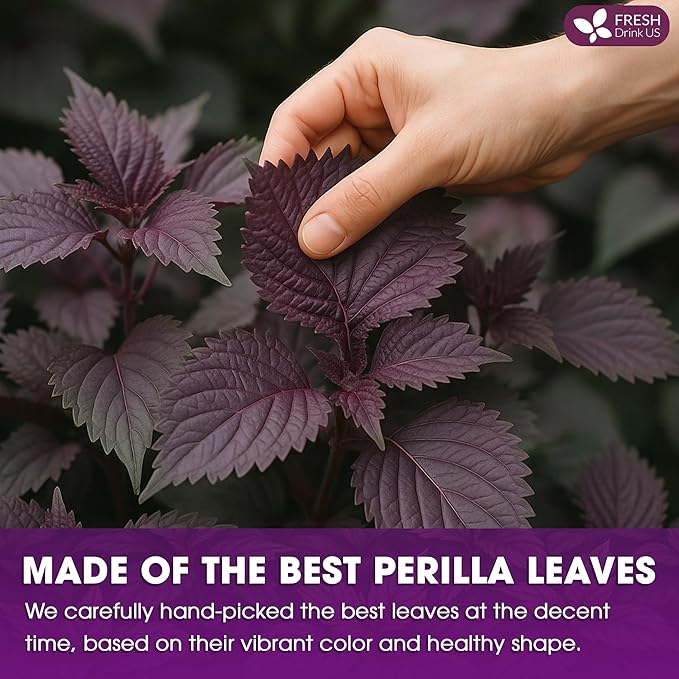 FreshDrinkUS, Premium Perilla Leaf Tea β 40 Tea Bags | 100% Pure Perilla Leaves | Caffeine-Free, Non-GMO, Natural Packaging | Herbal Tea Bags for Daily Enjoyment. Gluten-Free. Sugar-Free. Vegan