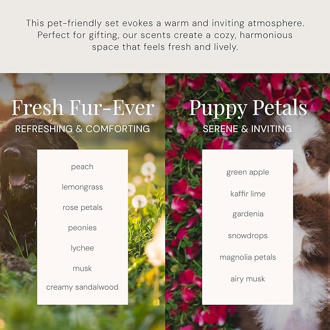 The Diamond Gift Set, Pet-Friendly Smart Scent Air Machine for Home, Bluetooth Controlled, Waterless Fragrance Oil Diffuser, Puppy Petals & Fresh Fur-Ever Scents, White