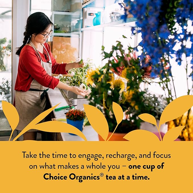 Choice Organic Teas Mandarin Ginger Tea - Organic Herbal Tea - 48 Tea Bags (Pack of 3)