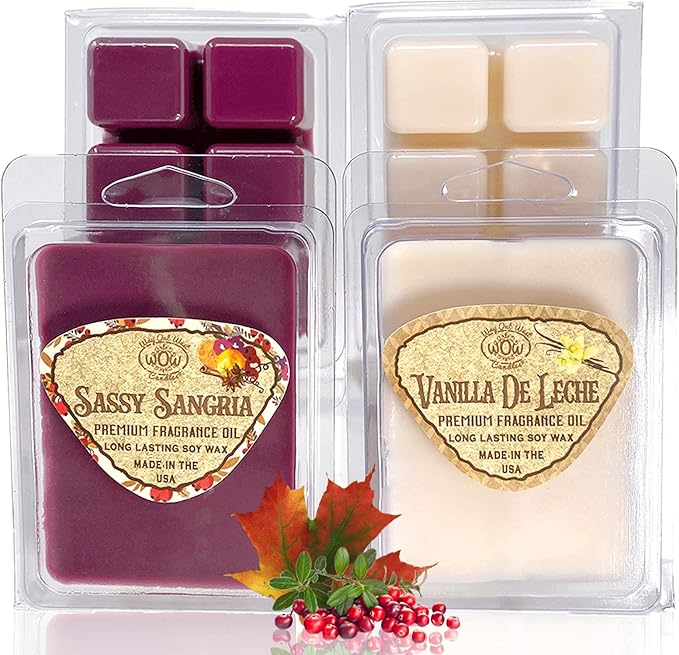 Scented Wax Melts for Wax Warmers - Highly Fragrant Air Freshener - 4 Pack Assorted Set of 6 Melt Cubes - Made in USA by Way Out West Candles (4, Fall & Winter Assortment)