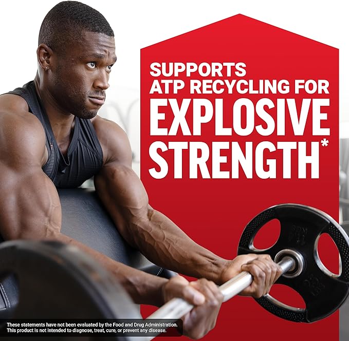 Force Factor Creatine Monohydrate Powder, 5g Micronized Dose to Support Muscle Growth, Strength, Recovery, Cognitive Health & Memory, Unflavored, 100 Servings
