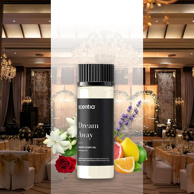 Fragrance Oil Blend, Inspired by Iconic Perfume, Home Luxury Scents, Essential Oil Blend for Aromatherapy Diffusers, Humidifiers & Candle Making -Dream Away 20ml, 0.67 Fl Oz, Mothers Day Gift