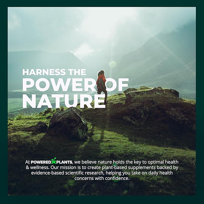 Hemp Oil Roll On - Menthol Rub with Boswellia & Arnica - 12,000mg Extra Strength Oil for Muscle Discomfort by Powered X Plants - Pack of 3, 3 fl.oz.