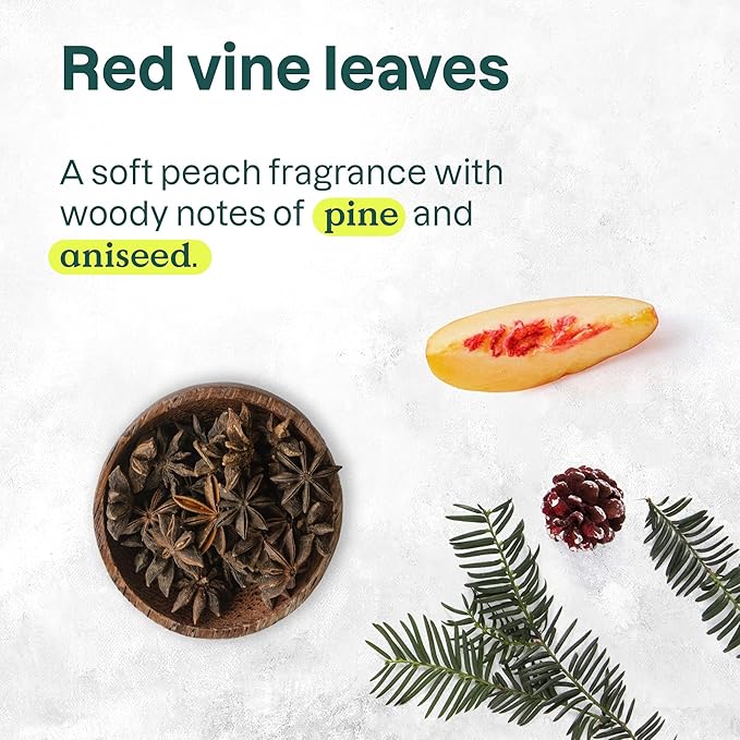 ATTITUDE Plastic-Free Deodorant, EWG Verified, Aluminum Free, Vegan Naturally Sourced Body Deodorants for Women & Men, Dermatologically Tested, Vine Leaves and Pomegranate, 3 Ounces