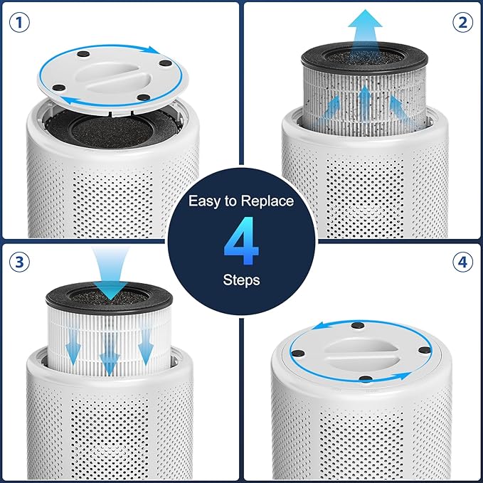 Tailulu D10 Replacement Filte, Air Purifier Filter for Tailulu D10 Air Purifier, 3-in-1 H13 Grade True Replacement Filte, D10 Replacement Filter 1 Pack