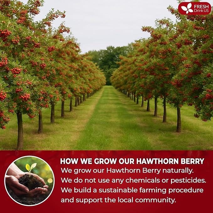 FreshDrinkUS, 16oz Premium Dried Hawthorn Berries β All-Natural, Non-GMO, Perfect for Tea, Smoothies, Baking & Snacking β Healthy, Versatile Superfood