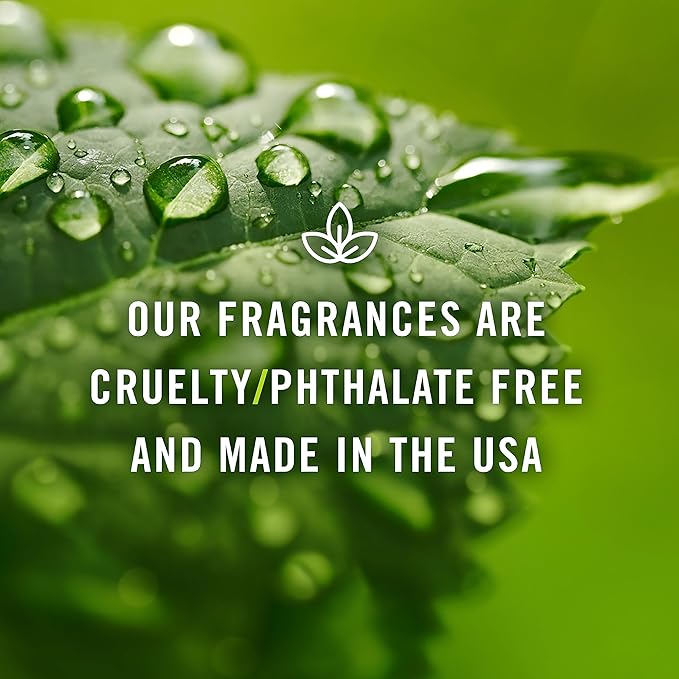 P&J Trading Fragrance Oil | Bay Rum Oil 30ml - Candle Scents for Candle Making, Freshie Scents, Soap Making Supplies, Diffuser Oil Scents