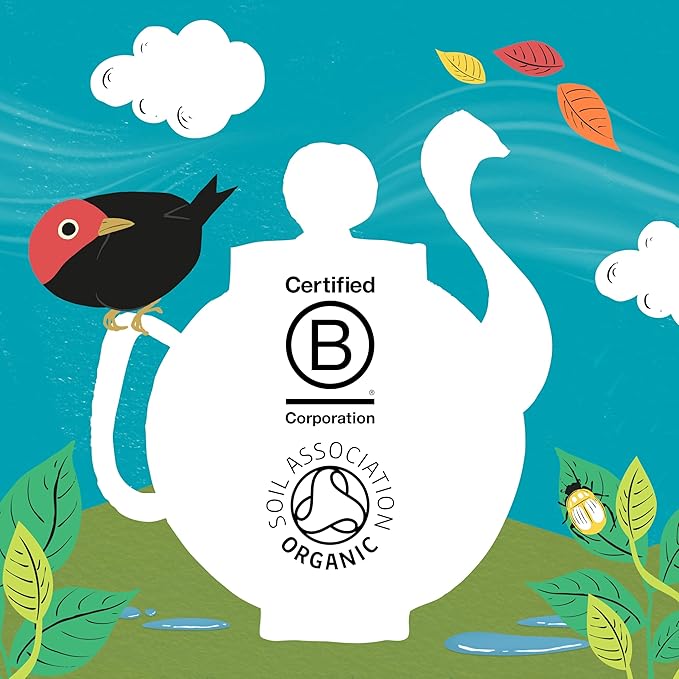 Clipper Tea, Orange & Turmeric, Organic Tea with Licorice Root, Orange Peel and Hibiscus, Plant Based Herbal Tea, Caffeine Free British Tea, 6 Pack, 120 Unbleached Tea Bags