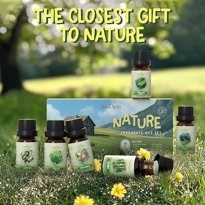 Nature Fragrance Oils Set, Essential Oil Gift Set for Diffuser, Natural Scent Diffuser Oil for Candle Making-Fresh Cut Grass, Mountain Air, Bamboo, Ocean Breeze, Fresh Lotus Leaf, White Tea