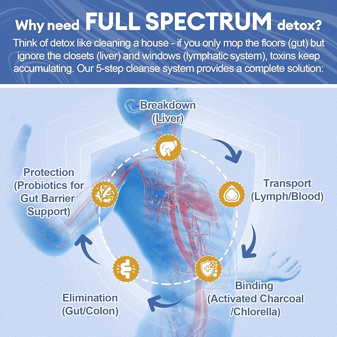 29-in-1 Full Spectrum Detox Powder | 5-Step Total-Body Reset for Liver, Lymphatic, Colon & Gut Support | Potent Earthy Taste from Natural Ingredients for Weight Management | 30 Servings