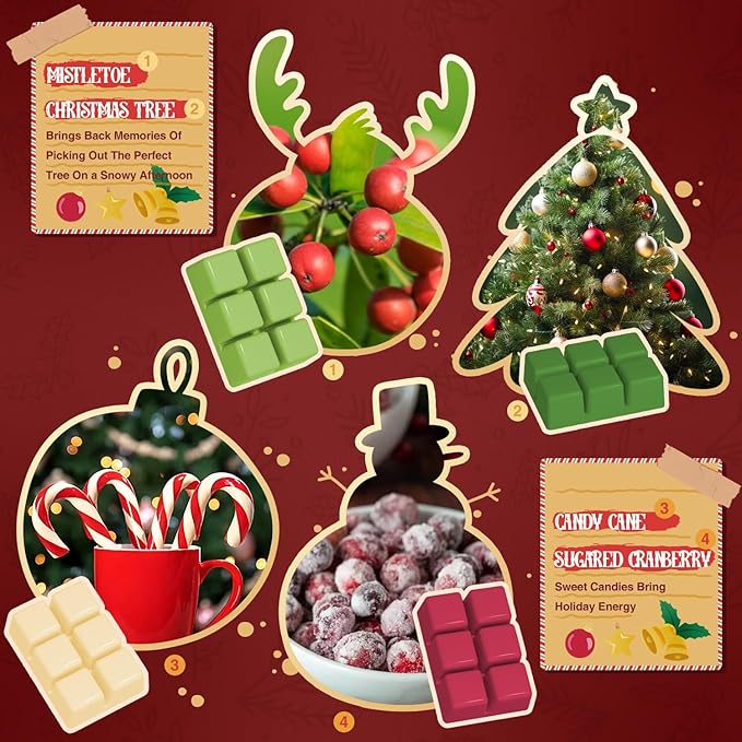 SALUBRITO Christmas Scented Wax Melts, Strong Scented Soy Wax Cubes/Tarts Variety Set - Apple Cinnamon, Gingerbread, Christmas Tree, Pudding, Sugared Cranberry, Candy Cane, Mistletoe, Chocolate Cake