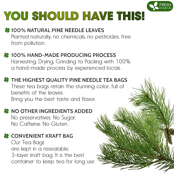 FreshDrinkUS, Pine Needle Tea Bags β 75 Tea Bags, Naturally Caffeine-Free, Refreshing Herbal Tea, Wild-Harvested Pine Leaves, Aromatic and Soothing β Non-GMO & Eco-Friendly Packaging