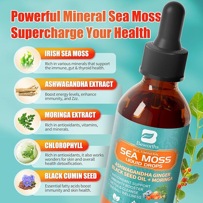 3Pack Sea Moss Drops - Irish Sea Moss Chlorophyll Liquid with Black Seed Oil, Ashwagandha, Moringa, Turmeric, Elderberry, Mullein, Seamoss Gel Supplement for Liver Cleaner, Detox & Gut, Immune Support