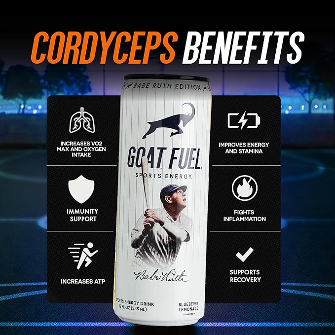 G.O.A.T. Fuel Energy Drink, Co-Founded by Jerry Rice, Natural Caffeine, Electrolytes, BCAAs, Cordyceps Mushrooms & Antioxidants, Light Carbonation Pre Workout, 12 Pack, 12 FL Oz, Blueberry Lemonade
