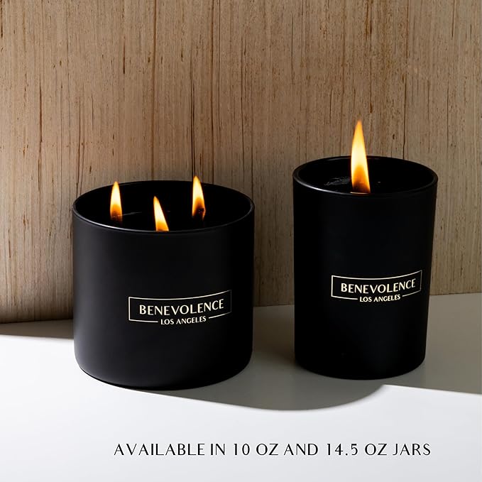 Benevolence LA 3 Wick Candle, Charcoal Large Scented Candle | Soy Candles | Gifts for Women and Men | Home Fragrance | Aromatherapy | Bathroom Freshener 14.5 Oz, 45 Hour Burn