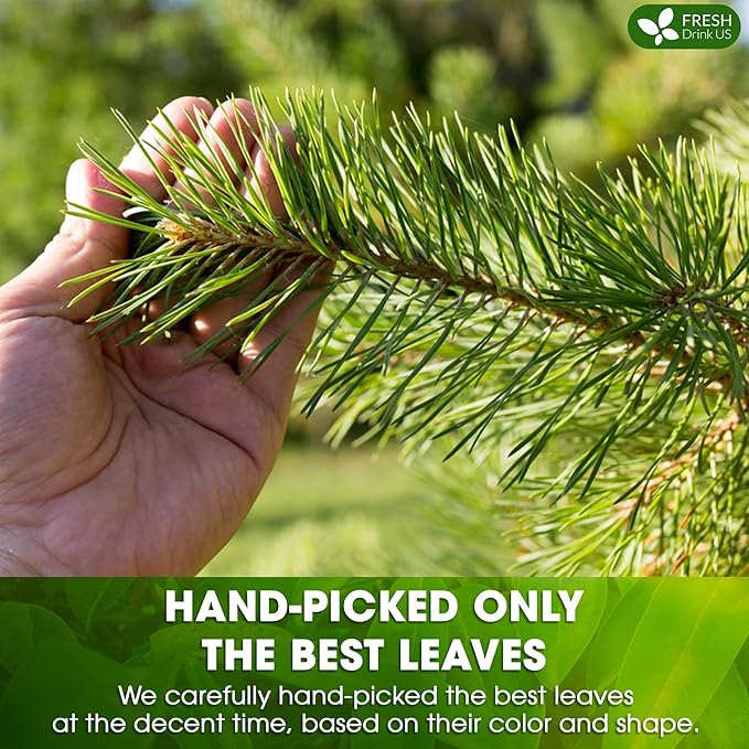 FreshDrinkUS, Pine Needle Tea Bags β 135 Tea Bags, Naturally Caffeine-Free, Refreshing Herbal Tea, Wild-Harvested Pine Leaves, Aromatic and Soothing β Non-GMO & Eco-Friendly Packaging