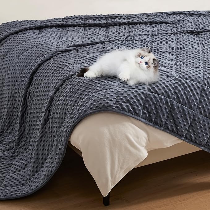 Topcee Weighted Blanket King Size (20lbs 80"x87"), Minky Dots Heavy Blanket for Woman, Man Sleeping, Soft, Cozy and Cooling Weighted Throw Blankets, Machine Washable, Grey