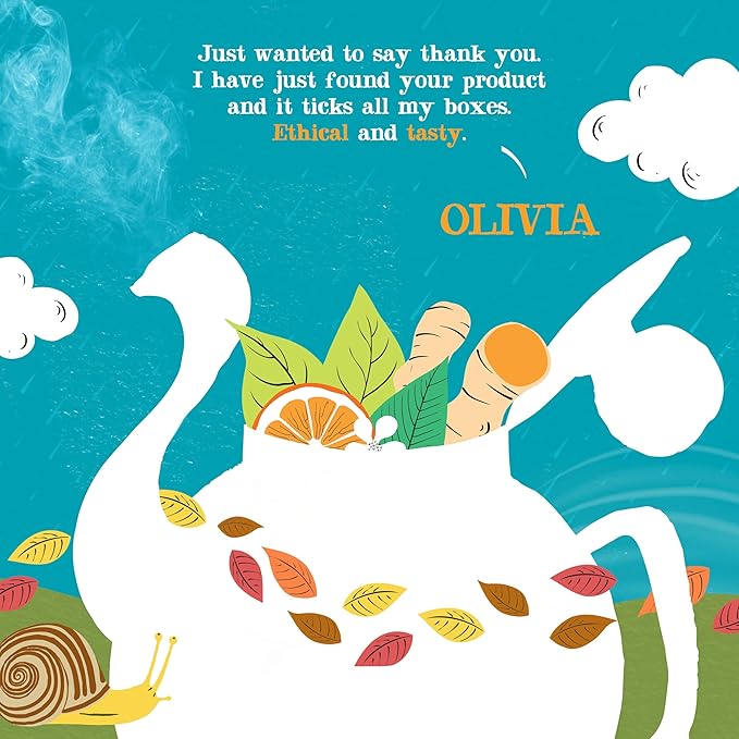 Clipper Tea, Orange & Turmeric, Organic Tea with Licorice Root, Orange Peel and Hibiscus, Plant Based Herbal Tea, Caffeine Free British Tea, 1 Pack, 20 Unbleached Tea Bags