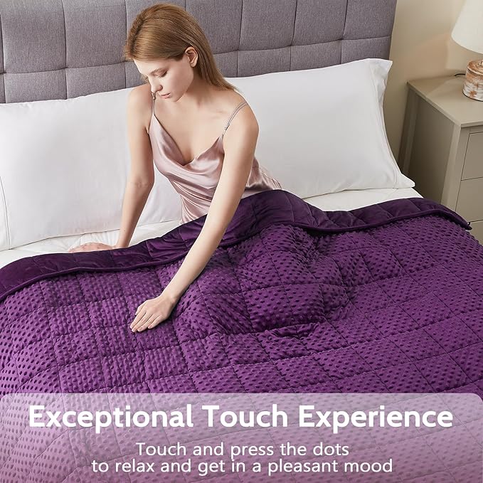 L'AGRATY Weighted Blanket - 40"x60" 10lbs Minky Dots Heavy Blanket with Glass Beads Soft Breathable for All-Season Summer Fall Winter Thick Comfort for Sleeping