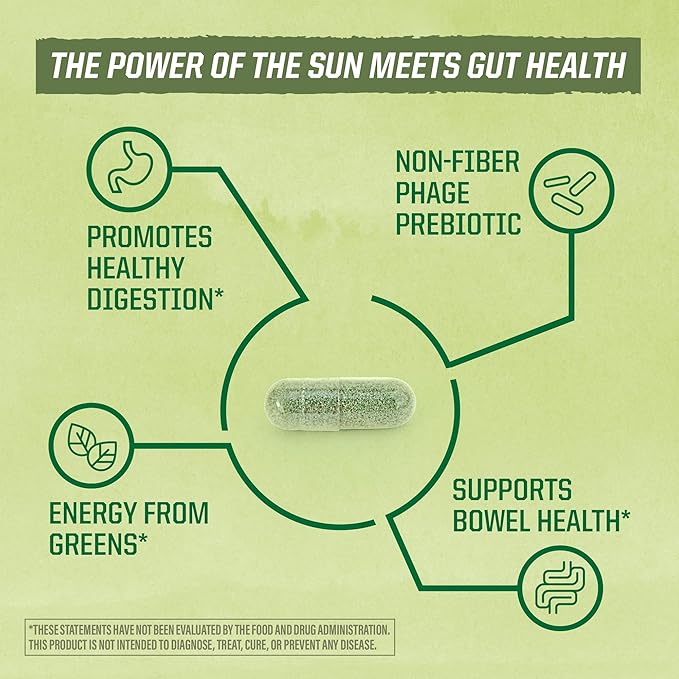 Sunwarrior Probiotics Soil-based Vegan Capsules | 10 billion CFU for Digestion Soy Free Gluten Free Dairy Free | 30 CT