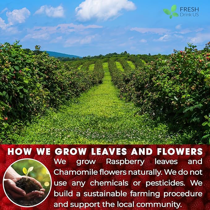 FreshDrinkUS, Premium Raspberry Leaf Tea with Chamomile โ 135 Tea Bags | Naturally Caffeine-Free Herbal Blend | Soothing Floral Flavor | Premium Loose Herbal Tea in Natural Material Tea Bags