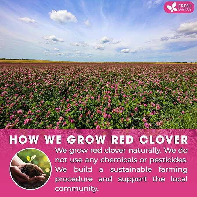FreshDrinkUS, Premium Red Clover Herbal Teaโ 55 Tea Bags โ Pure โ Naturally Smooth & Mild Flavor โ Premium Quality, Eco-Conscious Packaging. Caffeine-Free. Gluten Free. Vegan