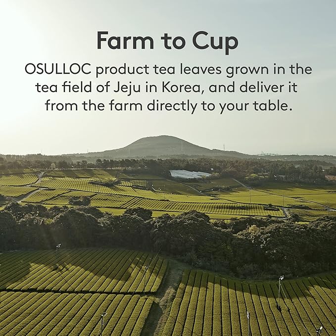 OSULLOC Lovely Tea Gift Box Set (12 count, 4 flavors x 3 EA) | Premium Blended Tea from Jeju | Korean Tea Sampler | Fruit Tea Variety Pack | Pyramid Tea Bag Series