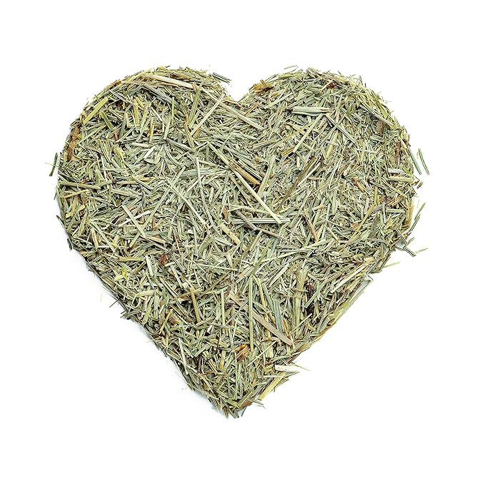 Super Value Pack 5 LB - Organic Horsetail (Equisetum arvense) β Loose Dried Herb β Edible Grade for Tea, Infusions & Herbal Blends
