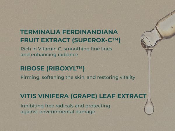 INNA ORGANIC Rejuvenating Face Cream, Anti-aging, Wrinkle Care, Fine Lines, Firm & Tightening, EWG & COSMOS Certified | Frankincense Essential Oils Infused Skin Care | Luxury Clean Beauty