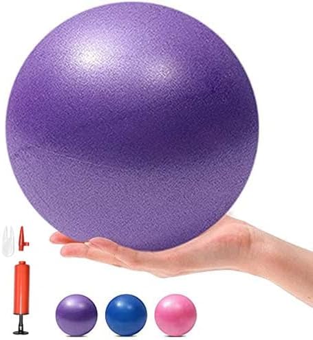 6 Inch Exercise Pilates Mini Yoga Balls Barre for Home Stability Squishy Training Physical Therapy Improves Balance with Pump