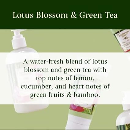 Camille Beckman Lotus Blosson & Green Tea Scented Silky Body Cream, Daily Moisturizer for All Skin Types | Non-Greasy Vegan Formula to Nourish and Soften Hands and Body, 13 Ounce