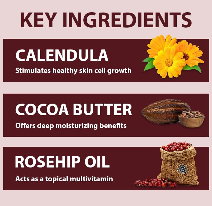 All Good Hand & Body Lotion - Moisturizing Organic Lotion for Dry Skin - Jasmine Oil, Cocoa Butter, Rosehip Oil, Arnica, Vitamin E - Non-Greasy Body Butter, 6 fl oz (2-pack, Jasmine Rose)