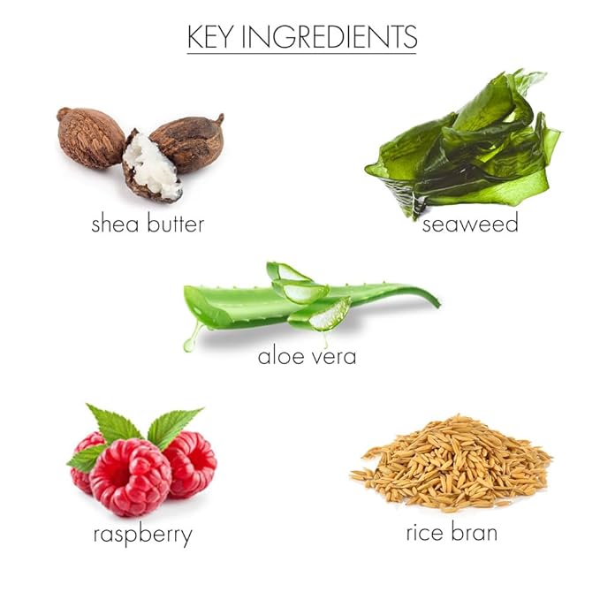 Whish Beauty Body Butter for Women - Moisturizing Body Lotion for Dry Skin - Antioxidant-Rich with Shea Butter, Aloe, & Raspberry Butter - Paraben & Sulfate Free - Lavender - 5 fl oz