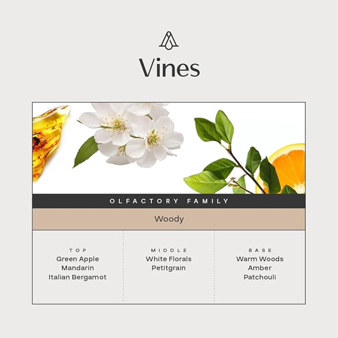 AromaPlan Hotel, Home Luxury Scents, Vines 5.07 Fl Oz (150ml) | Fragrance for Cold Air & Waterless Diffuser Oil | Home Luxury & Hotel Scent for Aromatherapy- USA Made, Bigger Bottle & Longer Lasting