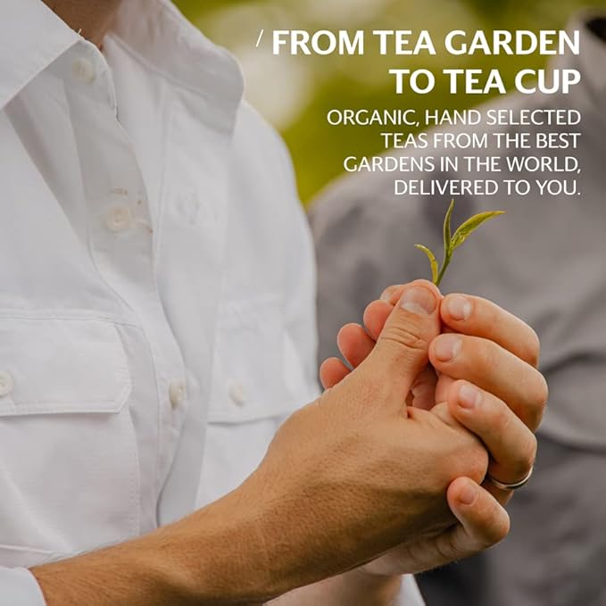 Grace Farms Organic English Breakfast Black Tea, (100 Enveloped Pyramid Sachets w/String & Tag) | Fairtrade & Kosher |Gives Back 100% of Profits