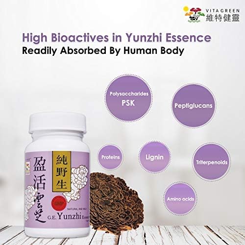 Turkey Tail Mushroom Capsules – Yunzhi Essence for Recovery, Health, and Wellness – Daily Immune and Digestive Support with Antioxidants – Pure Beta-Glucan Extract from Fruiting Bodies (10 Capsules)