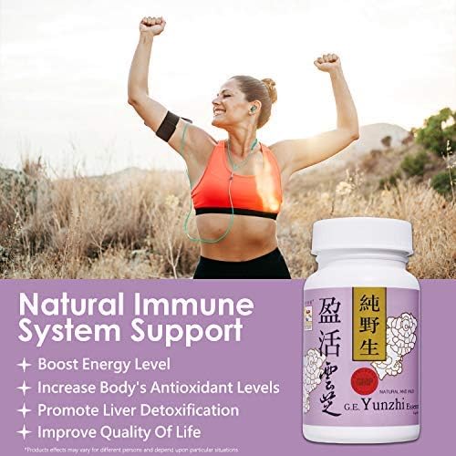 Turkey Tail Mushroom Capsules – Yunzhi Essence for Recovery, Health, and Wellness – Daily Immune and Digestive Support with Antioxidants – Pure Beta-Glucan Extract from Fruiting Bodies (10 Capsules)