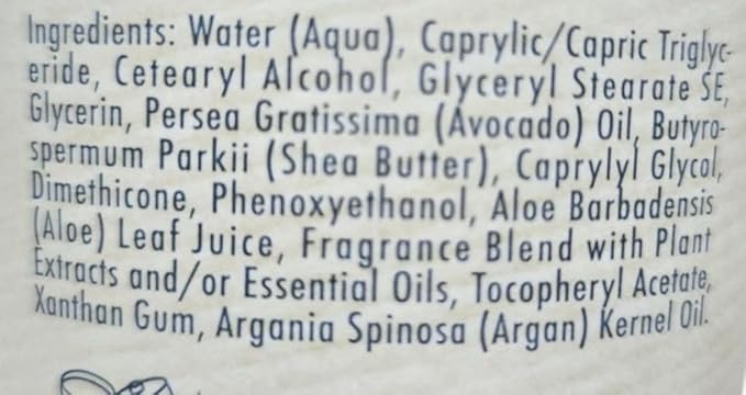 A LA MAISON De Provence Hand and Body Lotion | Natural Moisturizing Lotion with Argan Oil and Shea Butter | Moisturizer for Dry Skin | Paraben and Phthalates Free | Fresh Sea Salt Scent 8 Oz (2 Pack)