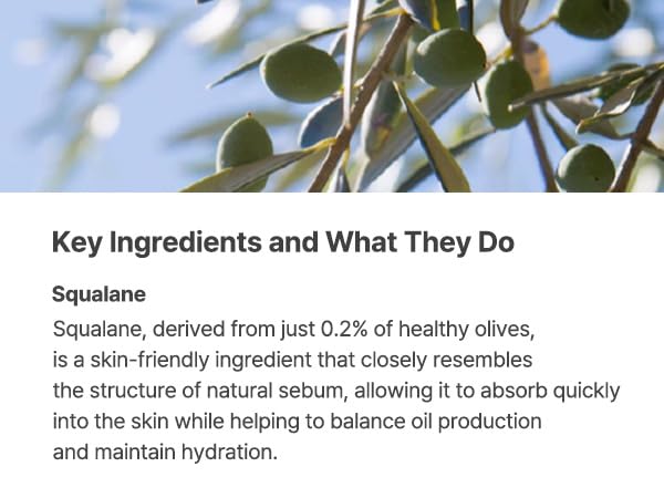 S.NATURE AQUA SQUALANE SERUM | Deeply hydrated Facial Serum for All Skin Type, Soothing, Pore Tightening and Sebum control Benefits, Korean Skin Care (1.69 Fl.Oz)