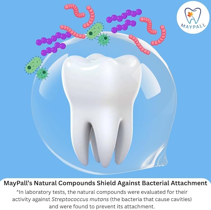 Mint Mouthwash, Safe to Swallow, Natural, Promotes Healthy Teeth, Mild Taste, No Burn, Fluoride Free, Alcohol Free, pH Balancing. 16.9oz (Pack of 2).