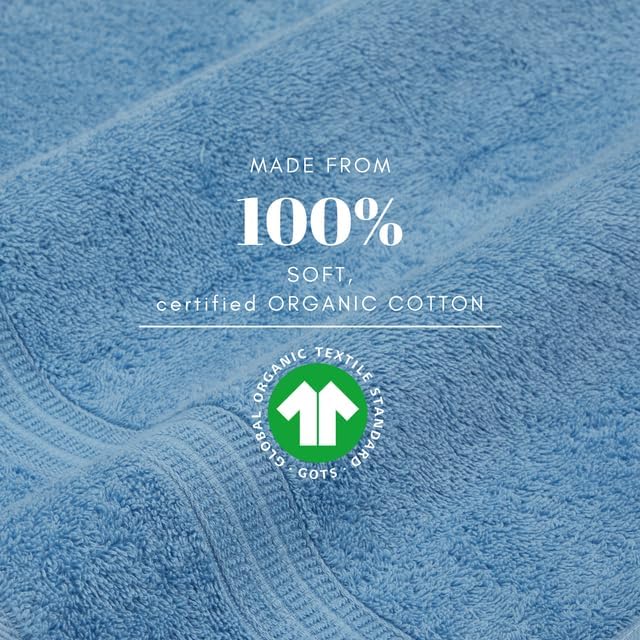 HOMELOVER 8 Pack Washcloths - 100% Organic Cotton, 500 GSM, Hotel & Spa Quality, Soft, Quick Dry, Highly Absorbent Towels for Face & Hand Wash, Shower, Gym & Bathroom Essentials (Sky Blue)