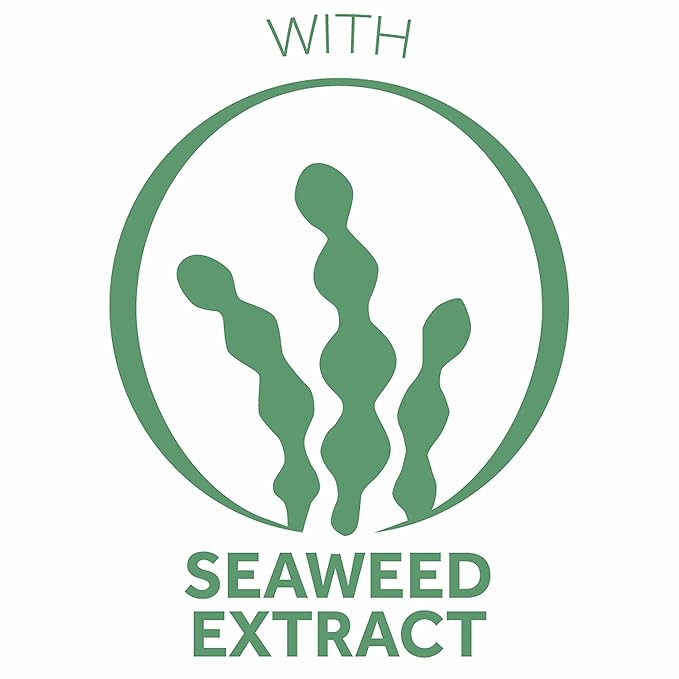 Pond's Crema S Nourishing Face Moisturizer for Women, Skin Care Facial Moisturizer Cream for Dry to Very Dry Skin, Nourishes for up to 24 hours 14.1 oz (Pack of 2)